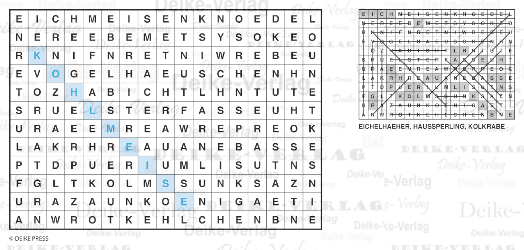 Strandvögel - Buchstabensalate