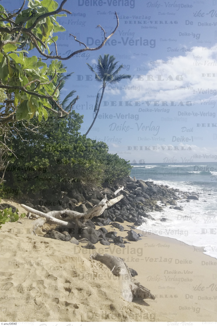 Strand Hawaii