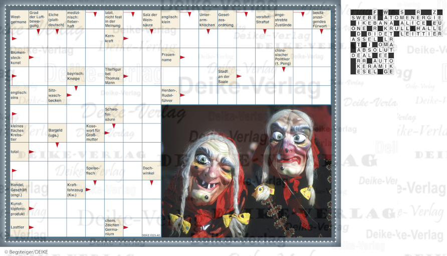 Hexen (Schwedenrätsel) DIN A5