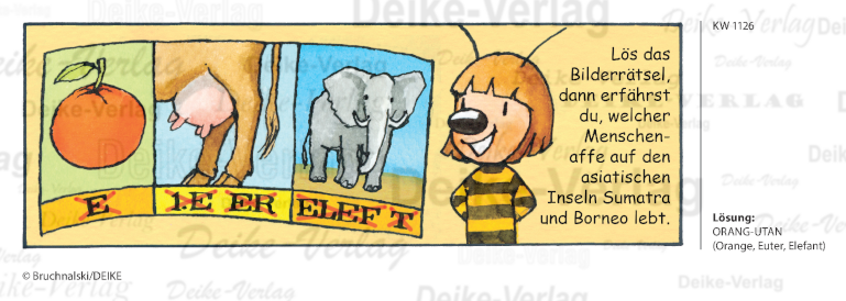 Orang Utan - Irmi die Rätselbiene KW 1126