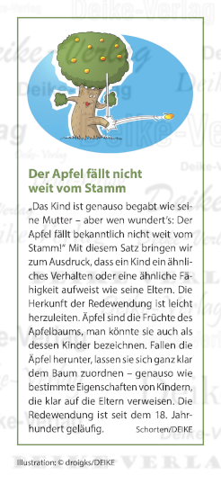 Der Apfel fällt nicht weit vom Stamm