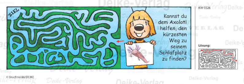 Axolotl-Labyrinth - Irmi die Rätselbiene KW 0326