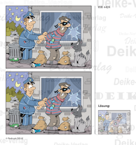 Einbrecher - Fehlerbilder KW 4424