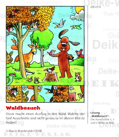 Wald - Oscar der schlaue Dackel