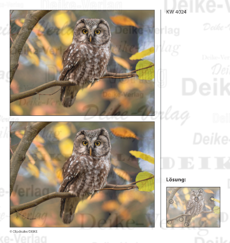 Eule - Fehlerbilder KW 4024