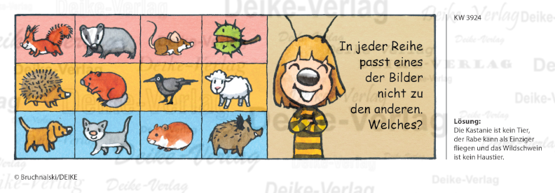 Gemeinsamkeiten -  Irmi die Rätselbiene KW 3924 