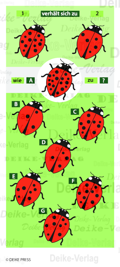 Marienkäfer - Verhält sich zu