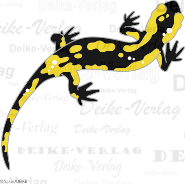 Salamander