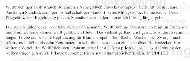 Garten und Pflanzen: Drahtstrauch