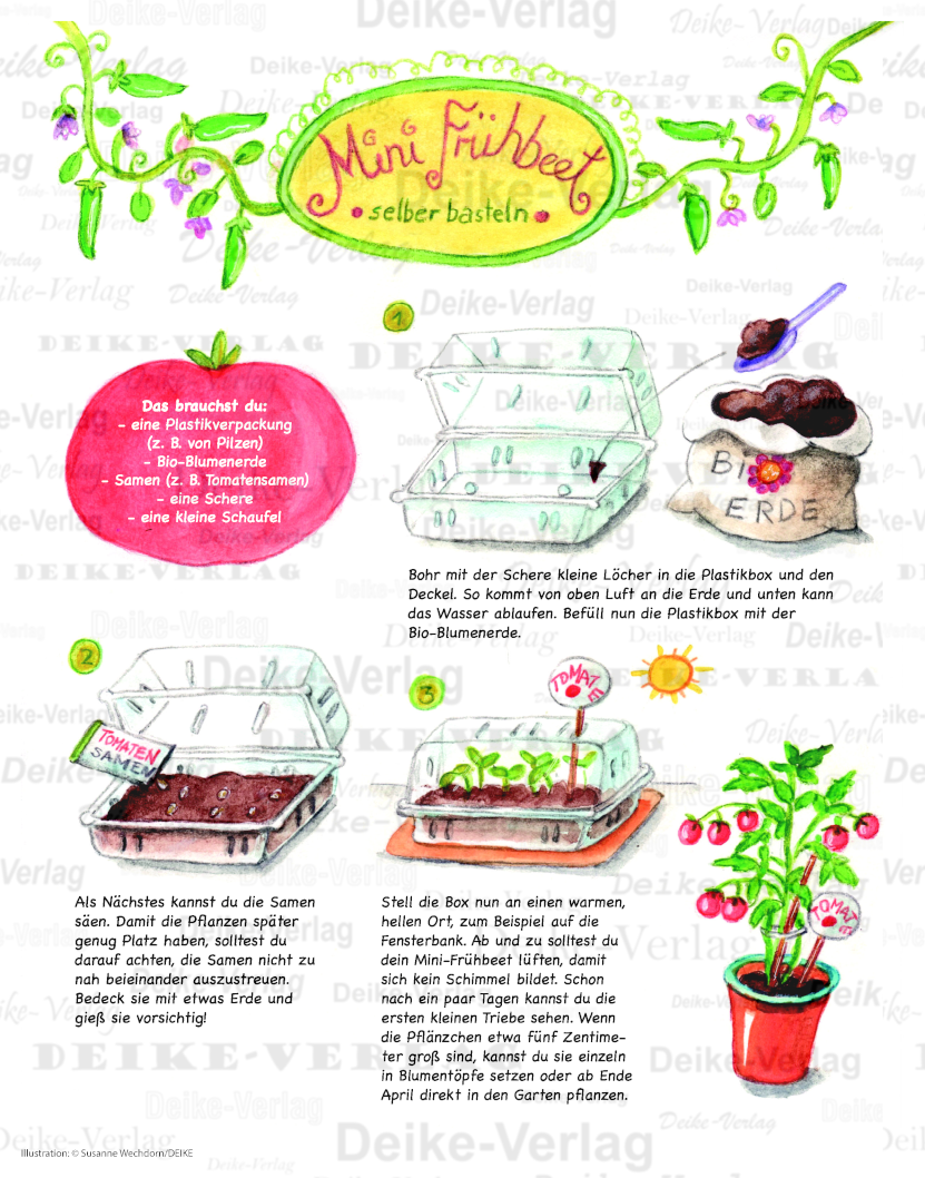 Mini Frühbeet