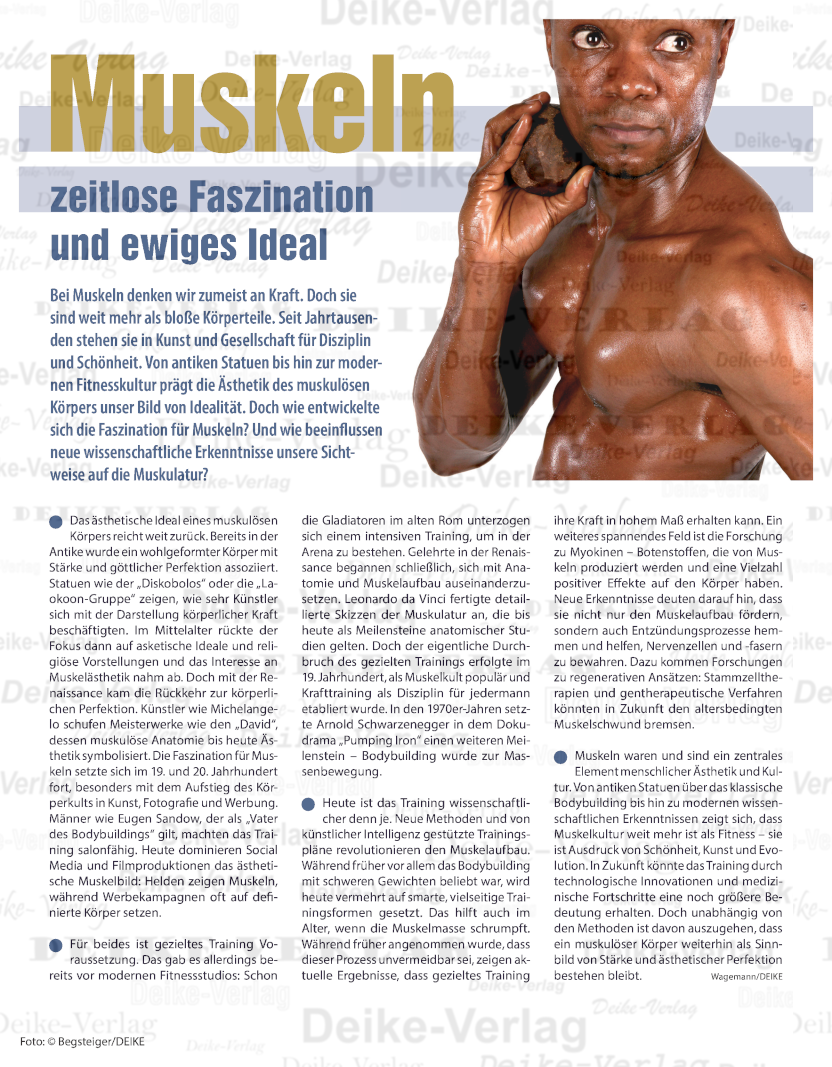 Muskeln