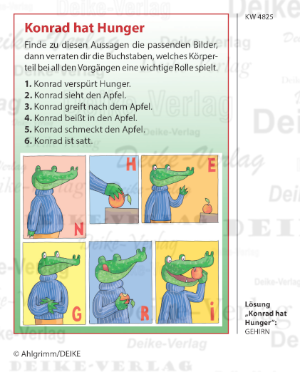 Gehirn - Konrad das Krokodil KW 4825