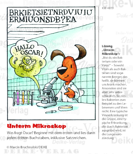 Hallo Oscar - Oscar der schlaue Dackel