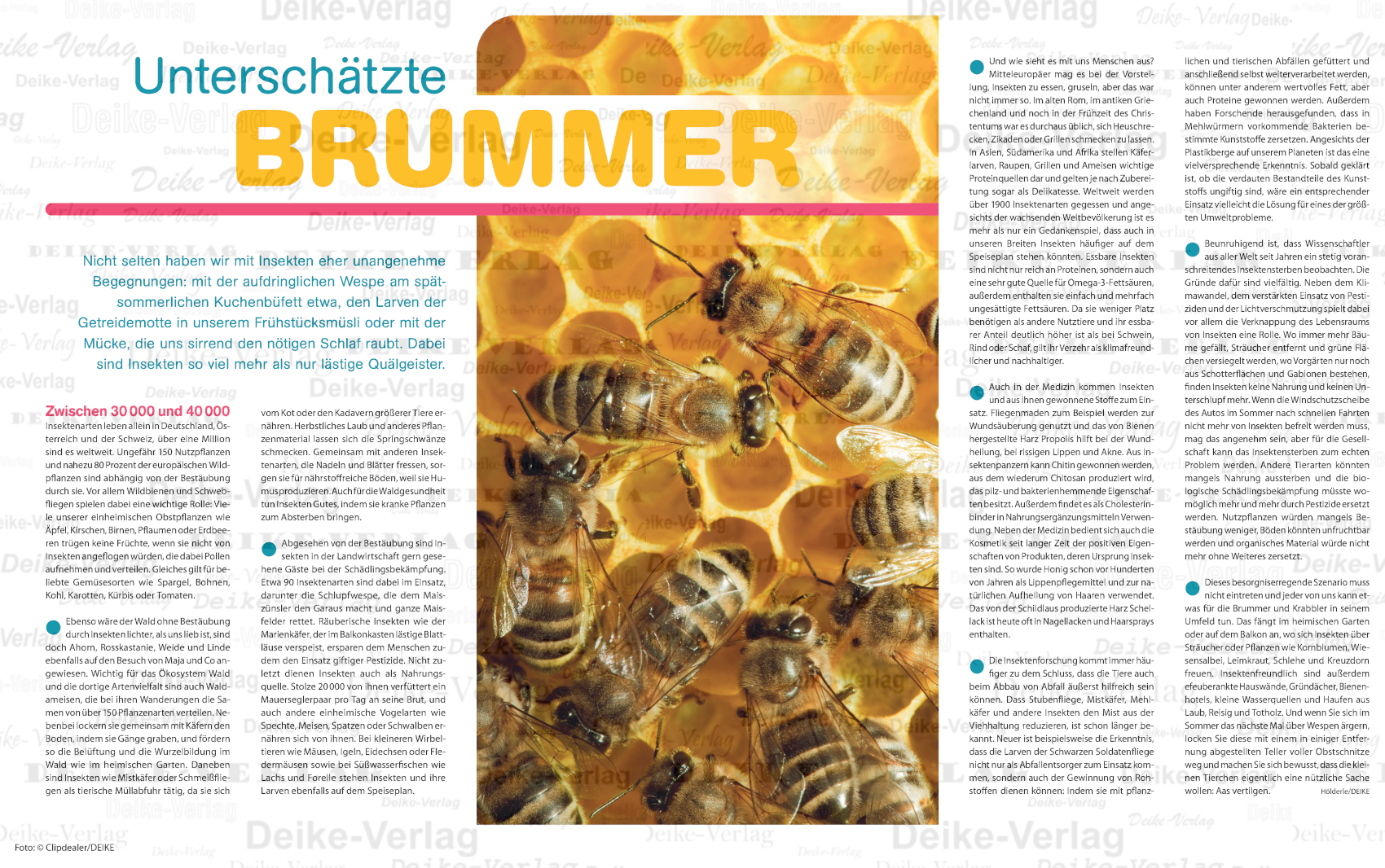 Unterschätzte Brummer