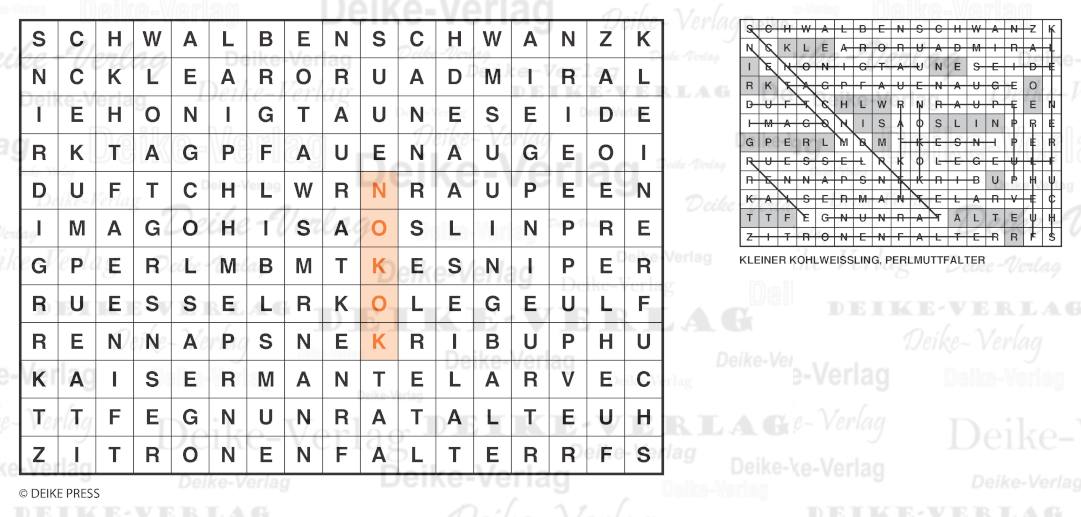 Schmetterlinge - Buchstabensalate