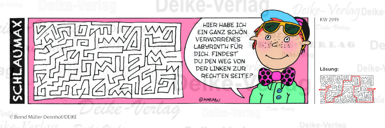 Labyrinth - Schlaumax KW 2919