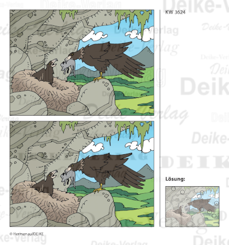 Adler - Fehlerbilder KW 3624