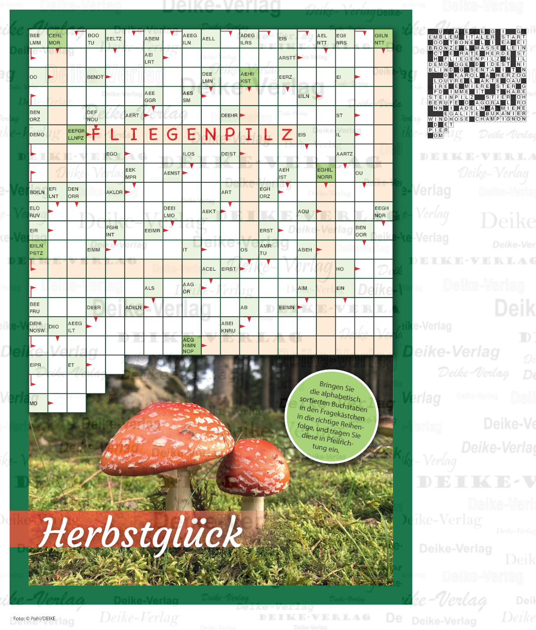 Pilze (Schüttelschwede) DIN A4