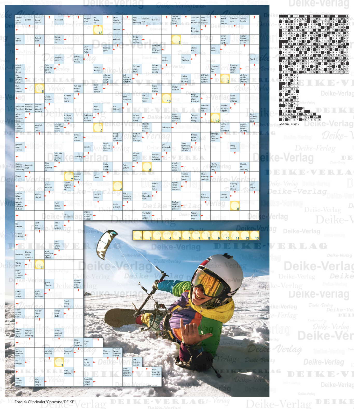 Adrenalinkick (Schwedenrätsel) DIN A3