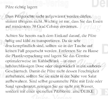 Pilze richtig lagern