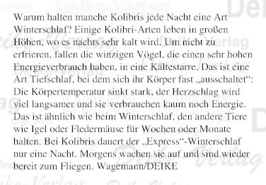 Warum halten manche Kolibris jede Nacht eine Art Winterschlaf?