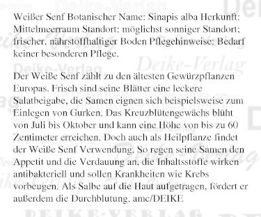 Garten und Pflanzen: Weißer Senf