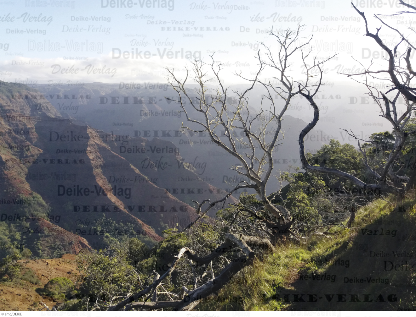 Waimea Canyon (Hawaii)