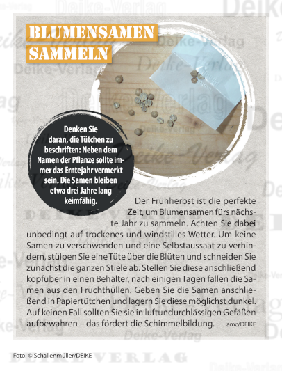 Blumensamen sammeln