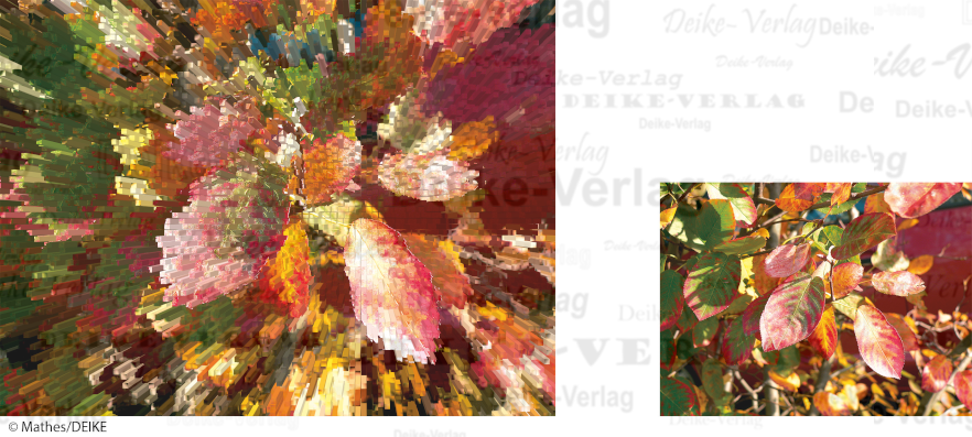 Herbstblätter - Fotorätsel