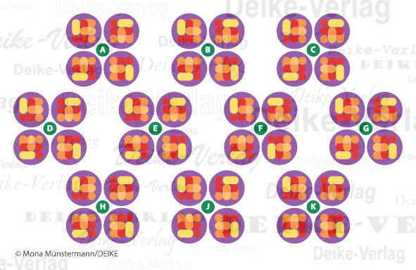 Formen - Einer fällt aus der Reihe