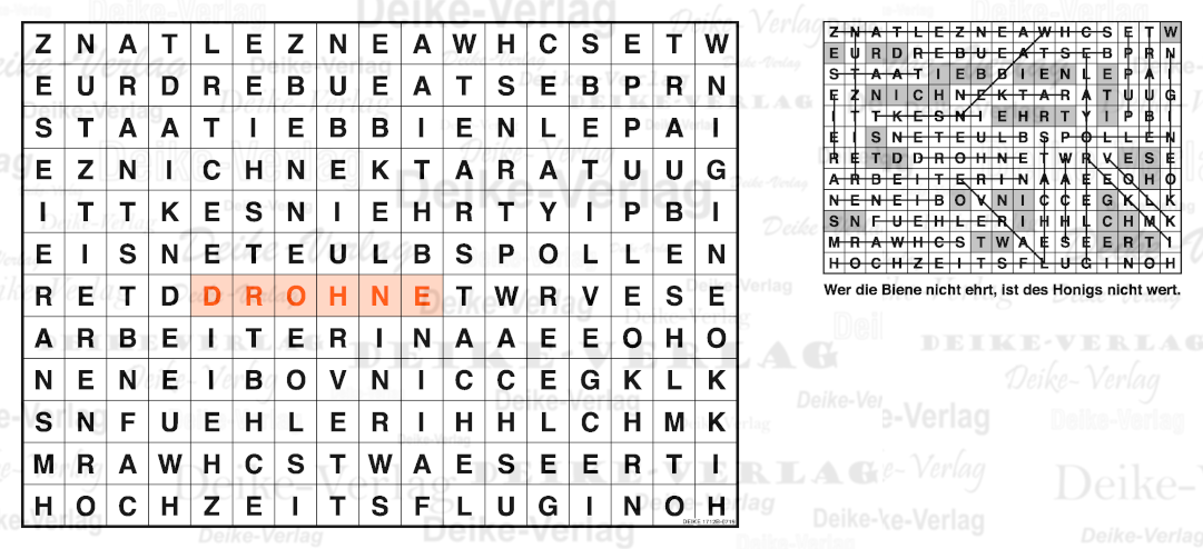 Bienenstock  - Buchstabensalate