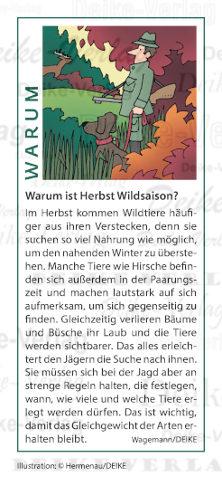 Warum ist Herbst Wildsaison?