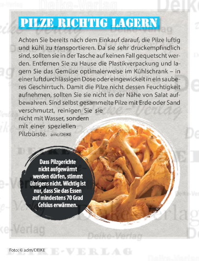 Pilze richtig lagern