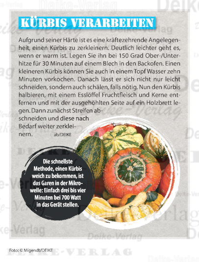 Kürbis verarbeiten