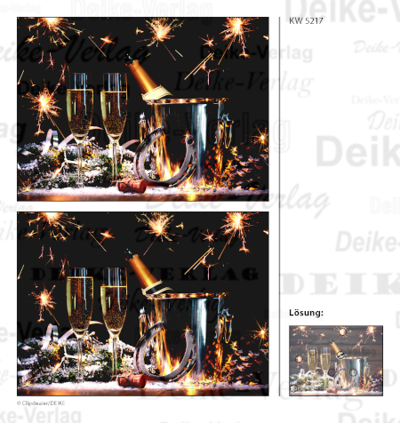 Silvester - Fehlerbilder