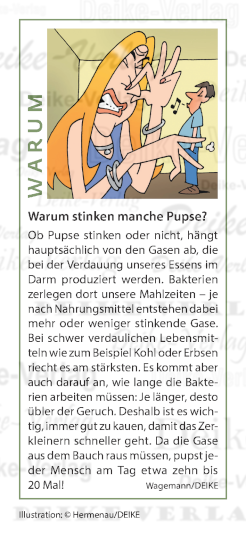 Warum stinken manche Pupse?