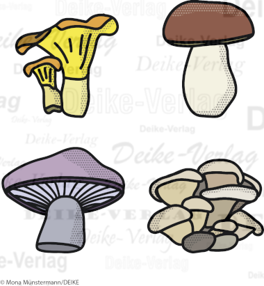 Pilze
