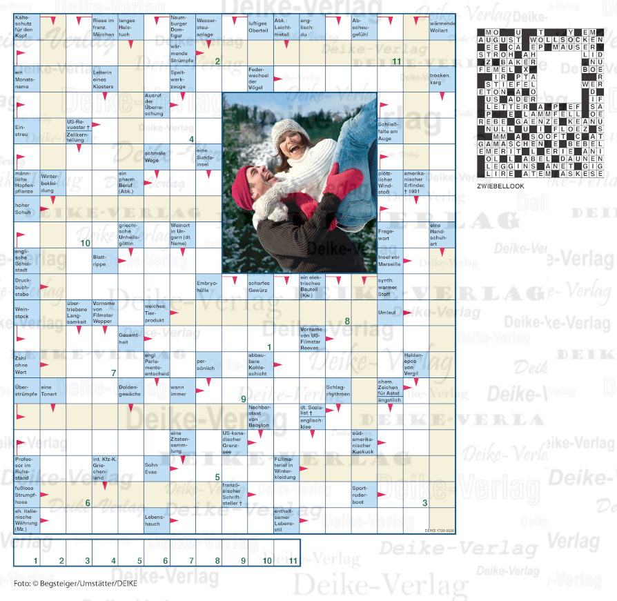 Zwiebellook - (Schwedenrätsel) 1720