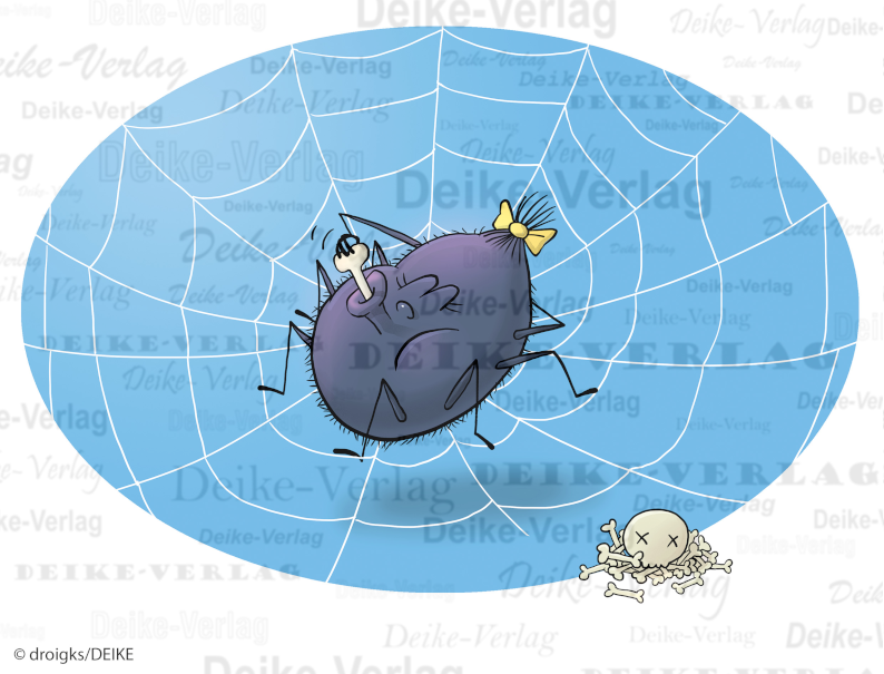 Spinnennetz