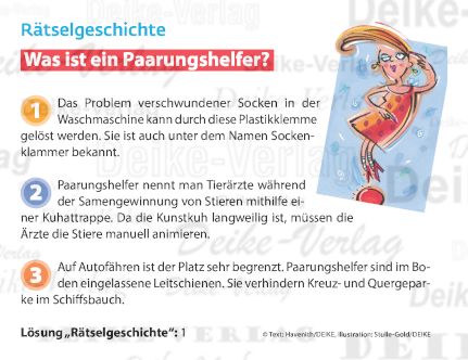 Verschwundene Socken - Rätselgeschichte