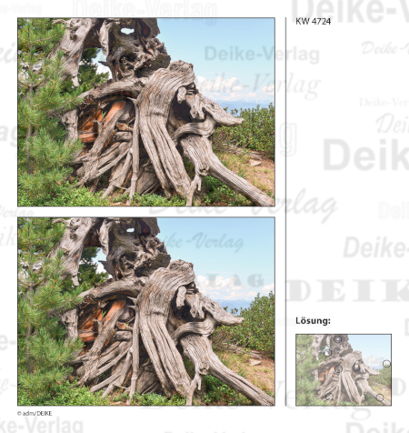 Baum - Fehlerbilder KW 4724