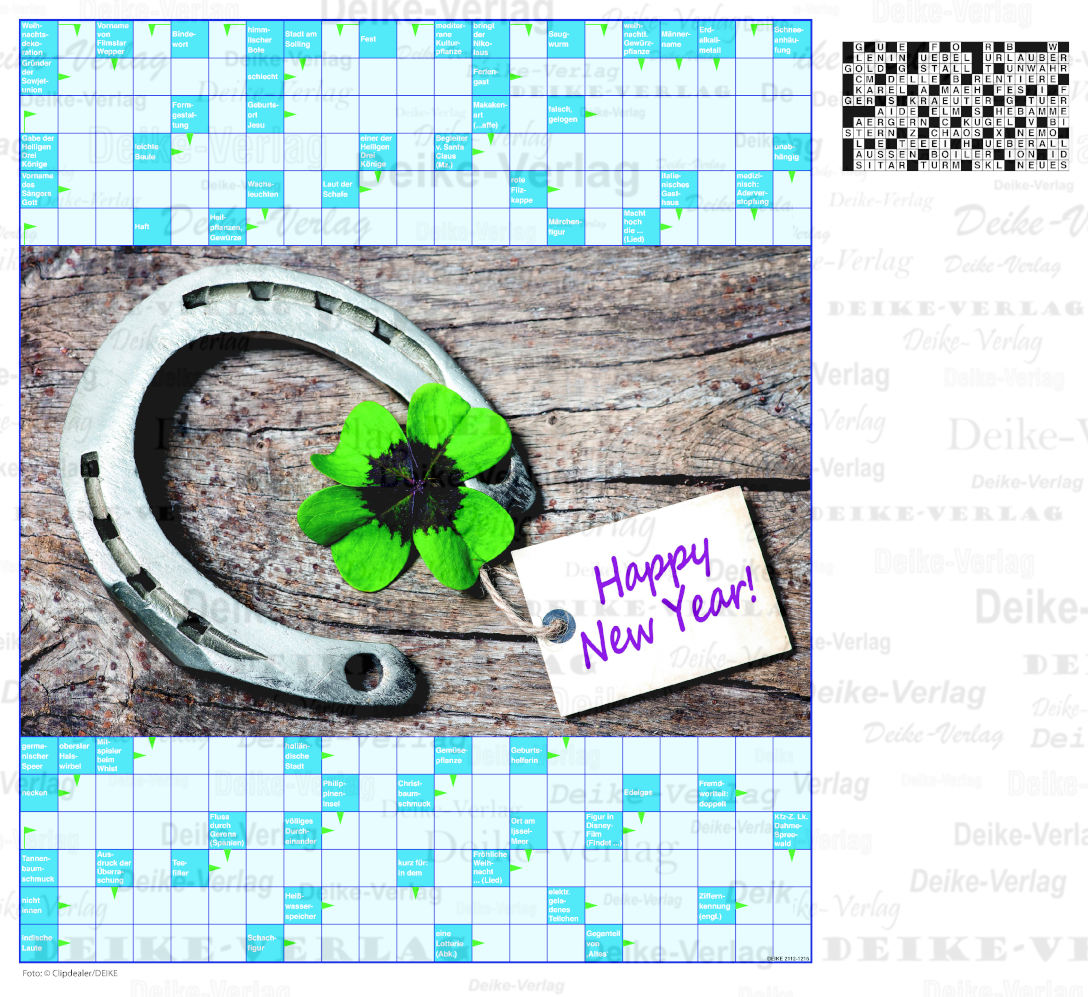 Happy New Year  (Schwedenrätsel) DIN A5