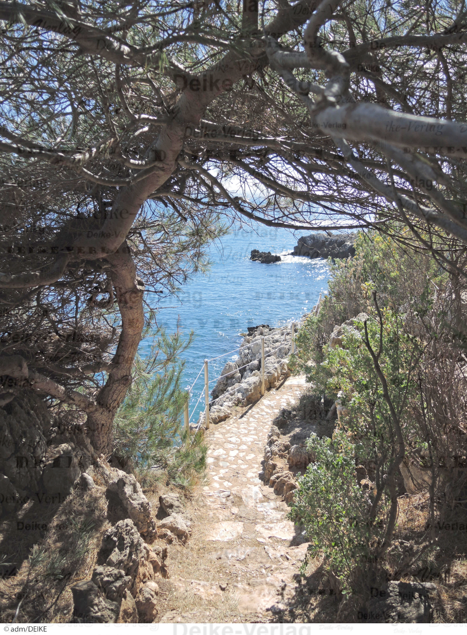 Cap d' Antibes - Provence